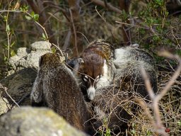 Tiergarten Schönbrunn am 23.03.2023